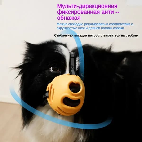 Намордник