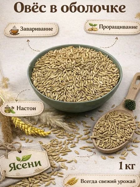 Овес для заваривания и проращивания 1кг