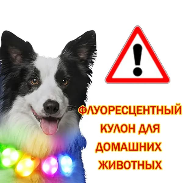 1шт ночная безопасная подвеска для домашних животных, светящаяся в темноте ночи с защитой от потери зоотоваров