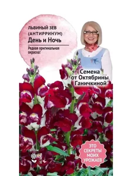 Семена Львиный зев ( Антирринум) День и Ночь Ганичкиной