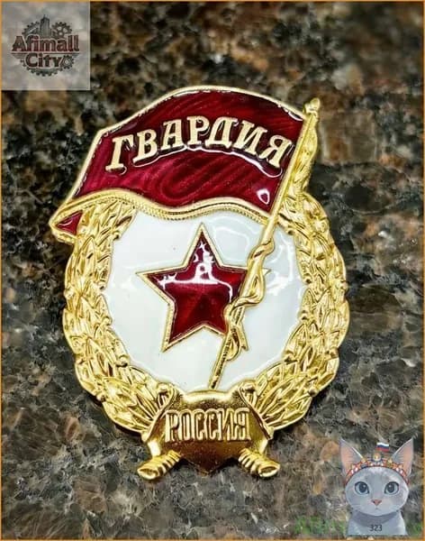Лучший выбор!Нагрудный знак Гвардия Россия латунь