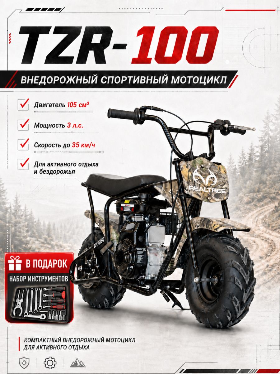 Внедорожный спортивный мотоцикл TZR-100