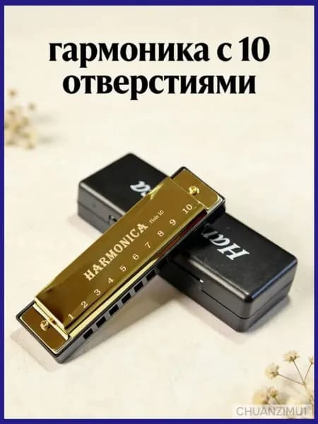 гармоника с 10 отверстиями