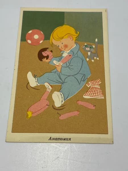 Открытка 50-е годы. Будапешт. Анатомия.