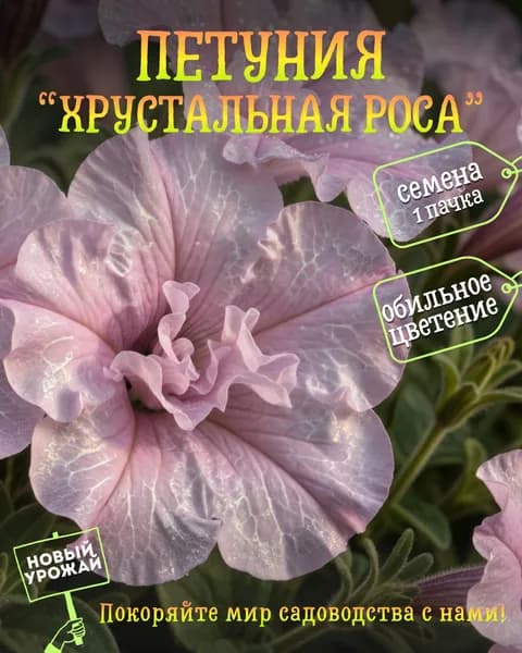 Петуния (махровая) Хрустальная роса, семена, 10 шт.