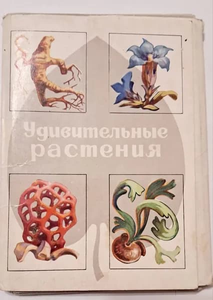 Набор открыток СССР, 1976 г Флора. Удивительные растения. Полный комплект - 32 штуки. Винтажная канцелярия