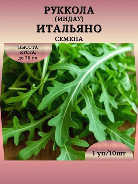 Руккола (индау) "Итальяно" семена, 1 пачка