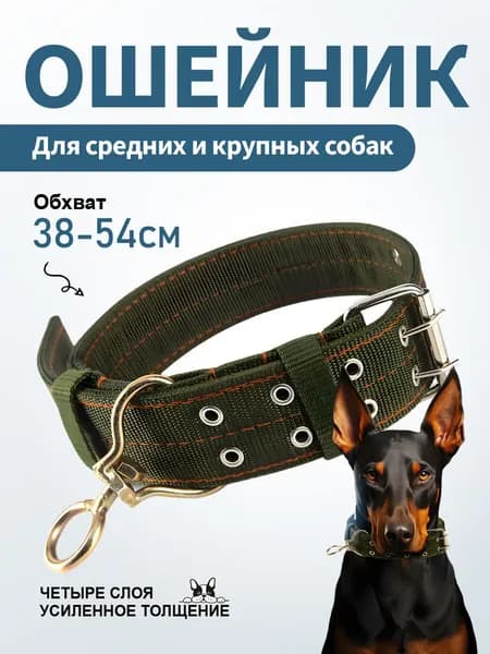 Усиленный нейлоновый ошейник для домашних животных, обхват шеи 38-54 см, подходит для собак мелких и средних пород весом 8-50 кг