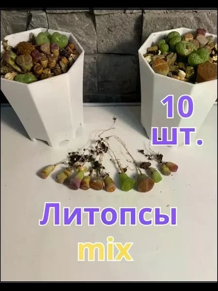 Набор для выращивания