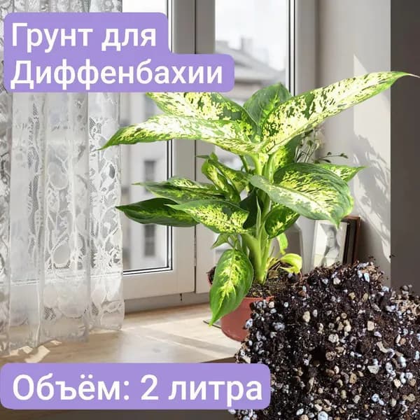 Авторский грунт для Диффенбахий 2 литра