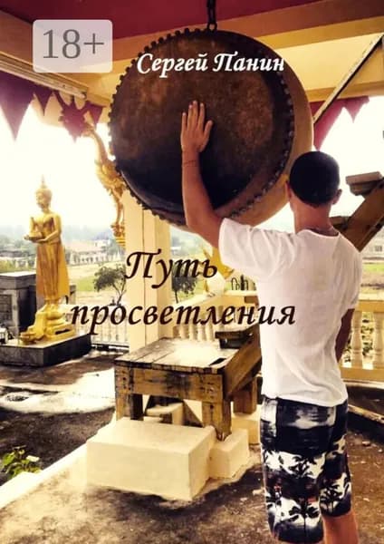 Путь просветления | Панин Сергей | Электронная книга