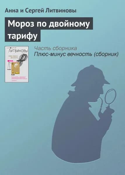 Мороз по двойному тарифу | Литвинова Анна Витальевна | Электронная книга