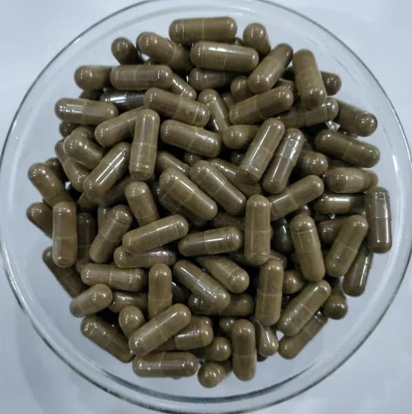 10: 1 экстракт цистанхе омолаживающий 500 мг*100 капсул Organic Cistanche Tubulosa Extract Capsule