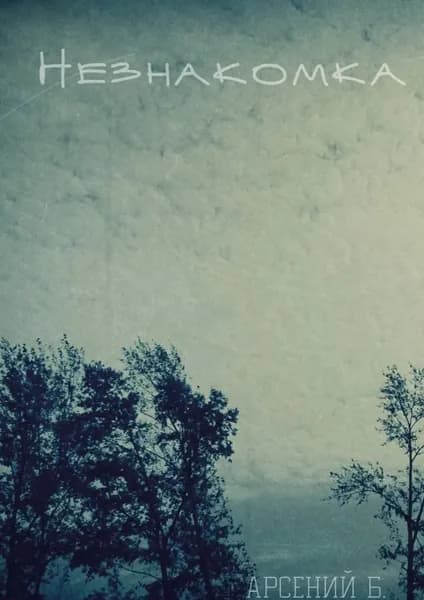 Незнакомка | Б. Арсений | Электронная книга