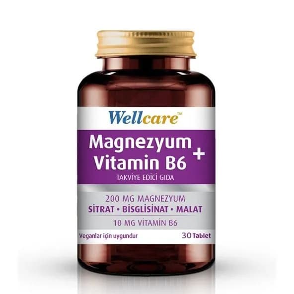 Wellcare Магний + витамин В6 30 таблеток