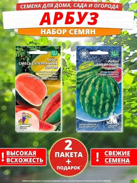 Семена арбуз для дома сада посадки