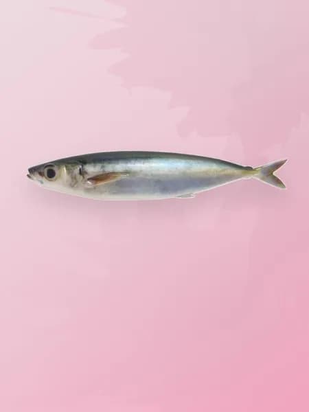 15см Искусственные приманки Swimbait Воблеры 3D печать, стая