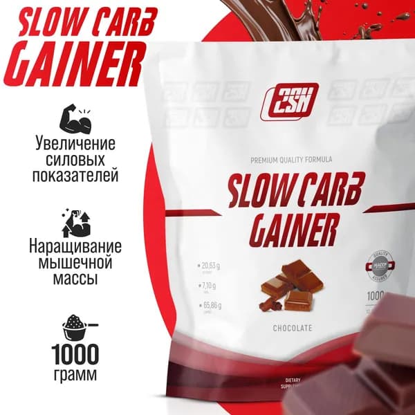 Гейнер на основе медленных углеводов 2SN Slow Carb Gainer 1000 г (Шоколад)