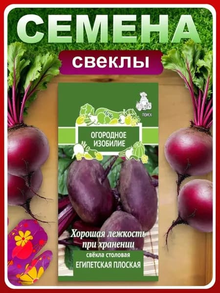 Семена Свекла столовая "Египетская плоская", 3 гр, для дома, дачи и огорода, в открытый грунт, овощи из семян.