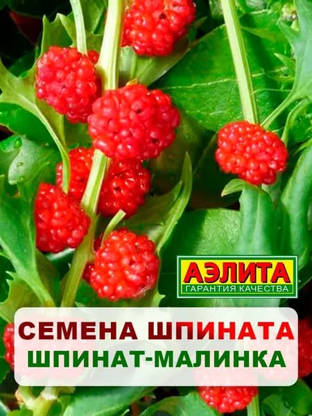 Семена шпинат "Шпинат-малинка", 0,05 г, для дома, дачи и огорода, в открытый грунт
