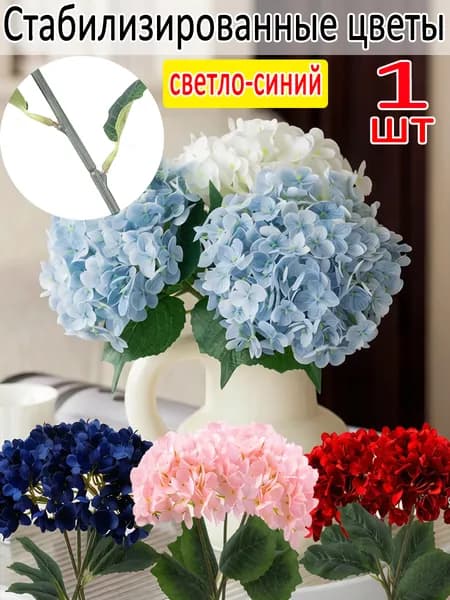 Стабилизированные цветы Гортензия