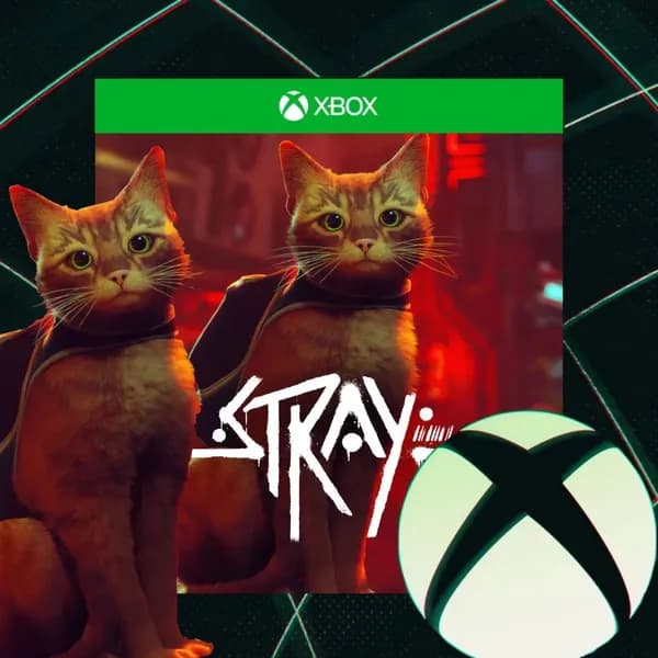 Игра Stray, цифровой ключ для Xbox One/Series X S, Русский язык