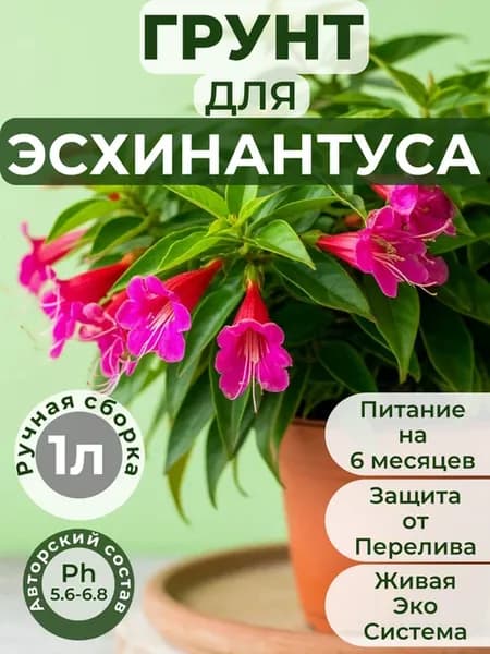 Готовый авторский грунт для Эсхинантуса премиум 1 л