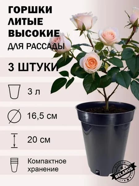 Контейнер для розы высокий 3 л 3 шт
