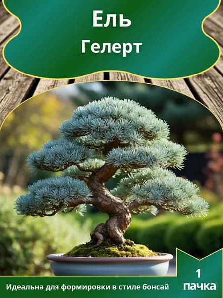Ель Гелерт , семена 10 шт. (бонсай)