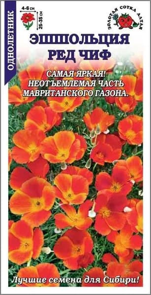 Эшшольция Ред Чиф /Сотка/ 0,2г/ оранж.-красн. h-35см, d-6см