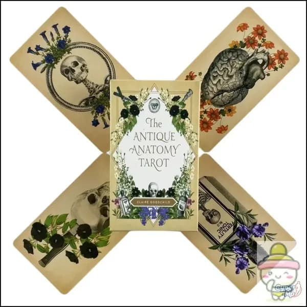карты Таро Античное Анатомическое/The Antique Anatomy Tarot