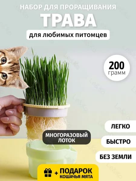 Лакомство для кошек семена смесь