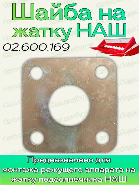 Шайба 02.600.169
