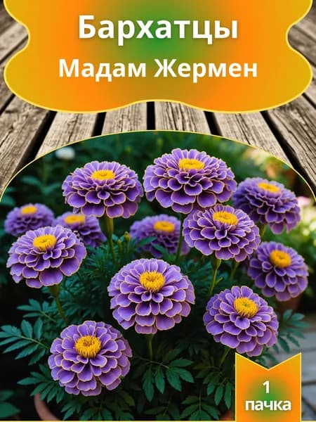 Бархатцы Мадам Жермен, семена 10 шт.