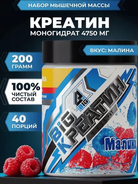 Креатин моногидрат BIGSNT BIG CREATINE порошок 200 грамм, 40 порций, для набора мышечной массы