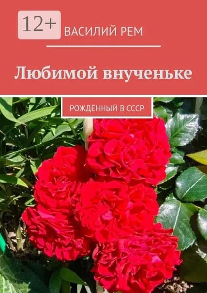 Любимой внученьке. Рождённый в СССР | РЕМ Василий | Электронная книга