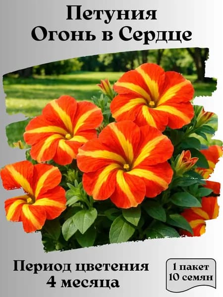 Петуния Огонь в Сердце, семена, 10 шт.