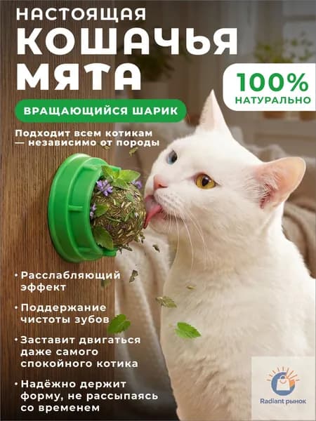 Натуральный шарик с кошачьей мятой и витаминами, игрушка для кошек, зелёный, 30 г