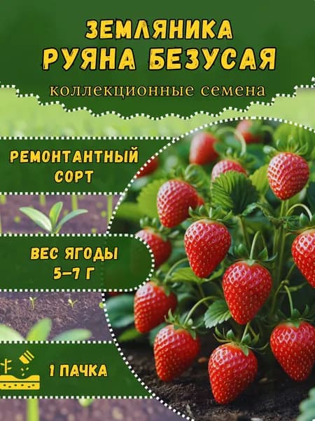 Семена Земляники "Руяна безусая", 10 семян