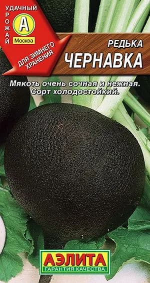 Семена Редька Чернавка (1г) - Аэлита