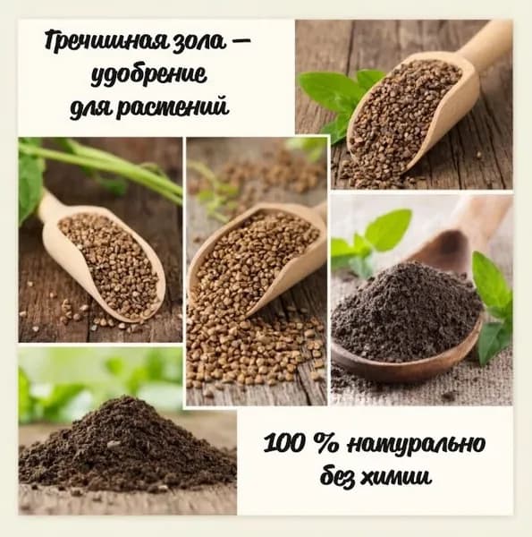 Гречишная зола, 500 гр.
