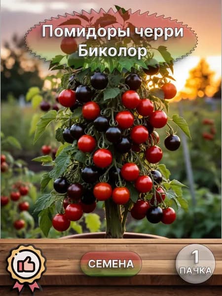 Помидор черри Биколор, семена 10 шт