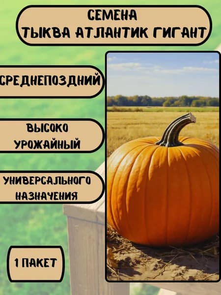 Семена гигантской тыквы "Атлантик гигант", 2 шт. семян