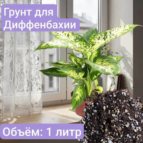 Авторский грунт для Диффенбахии 1 литр