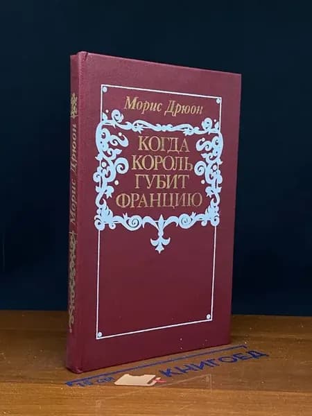 Когда король губит Францию — исторический роман
