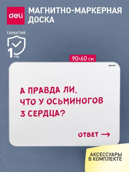 Доска демонстрационная магнитно-маркерная на стену для офиса и дома Deli, 60x90 см, лак, серебристый