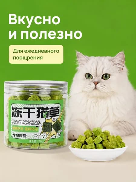 Популярные деликатесы котят