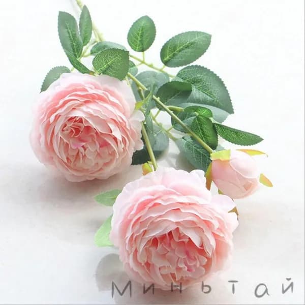 Стабилизированные цветы
