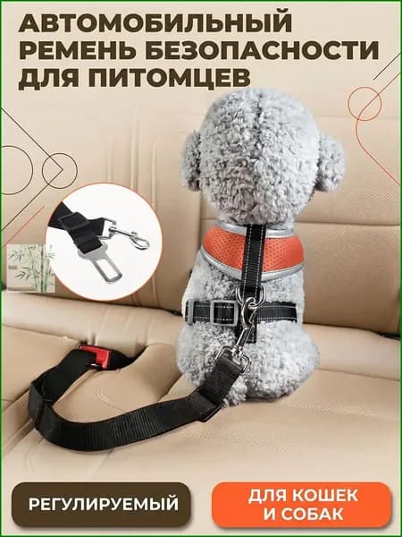 Ремень безопасности для собак в машину