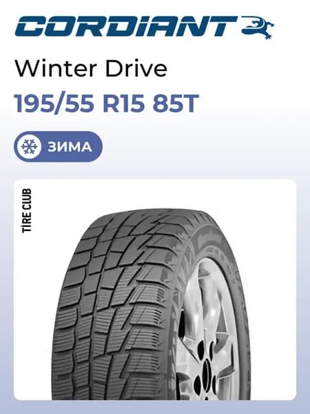 Шины зимние 195 55 R15 85T Winter Drive